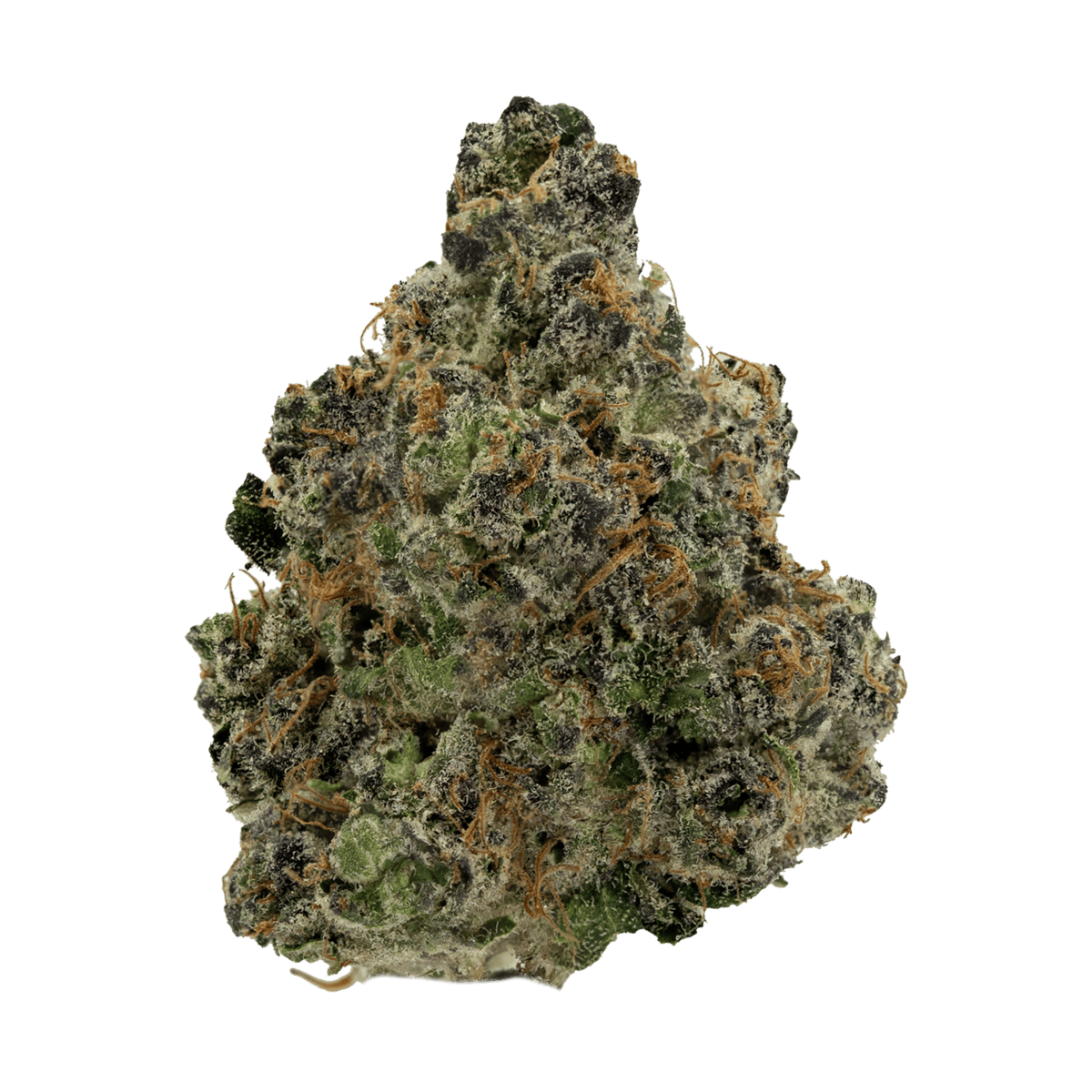 alien cookies weed strain