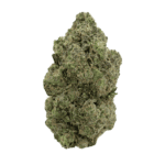 White Sherbet Strain