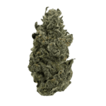 Rose Gold Strain