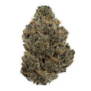 purple voodoo strain of weed