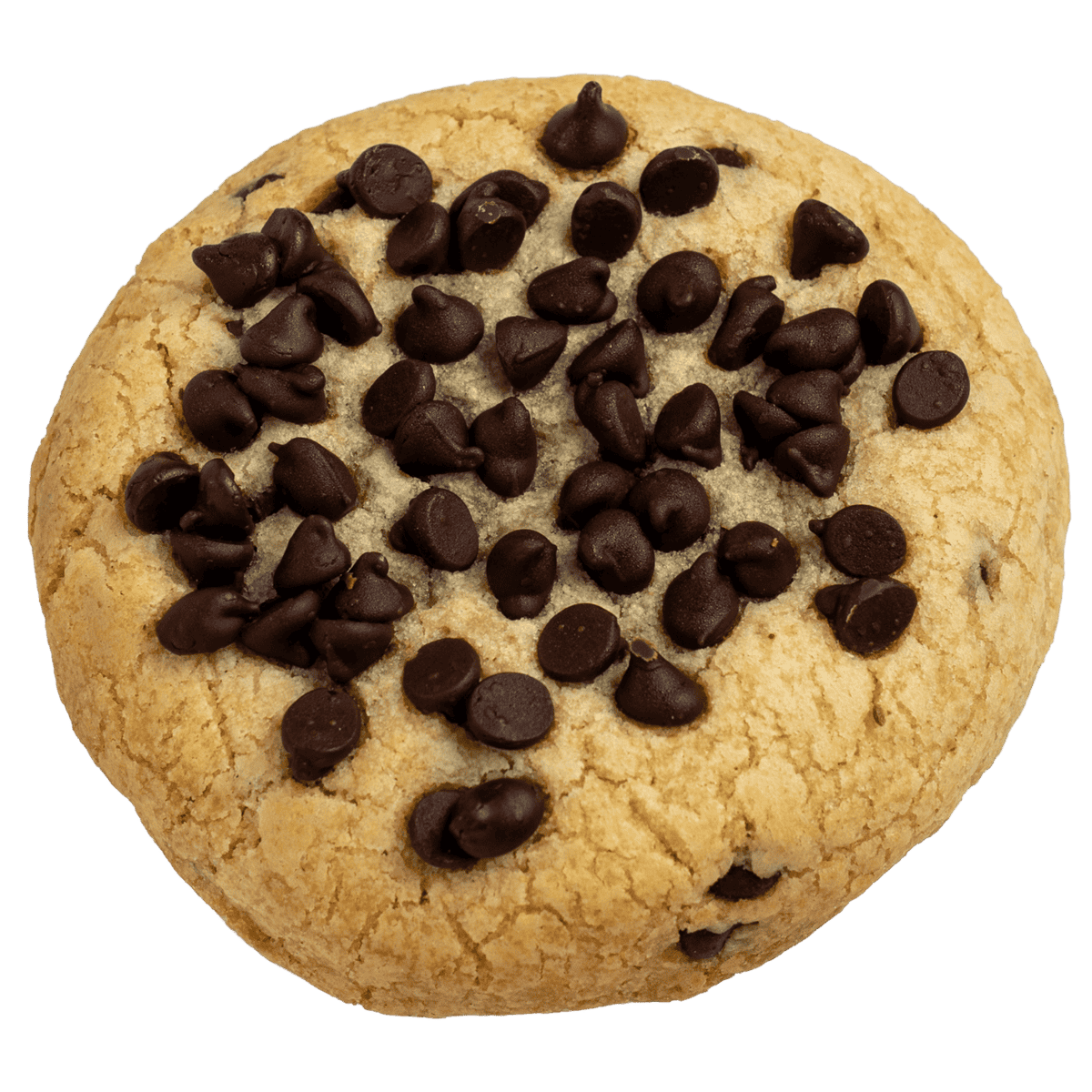 Stoned N' Chunky Cookie