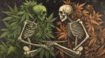 25 Fun Stoner Questions to Spark Deep Conversations - Chronic Guru
