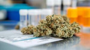 Cannabis buds placed on top of a lab report with testing vials in the background, emphasizing the importance of reviewing product analysis.