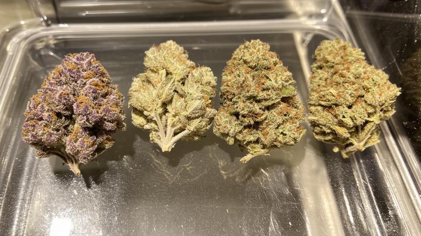 Trichome Assessment Techniques