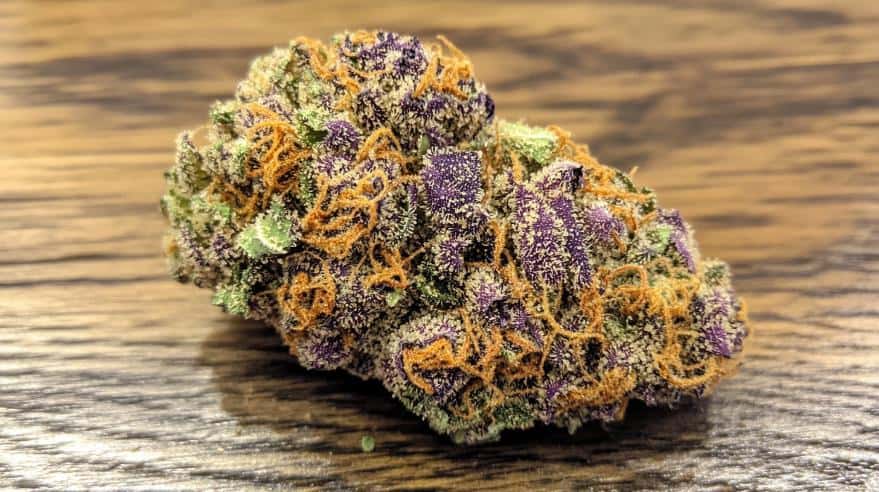 Visual Cues of Premium Cannabis