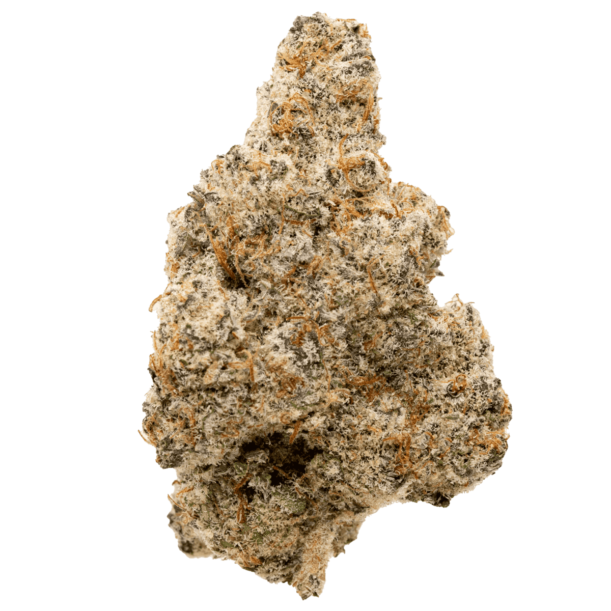 blockberry strain of weed