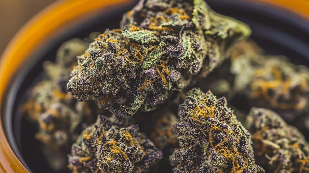 best cannabis strains for paranoia relief