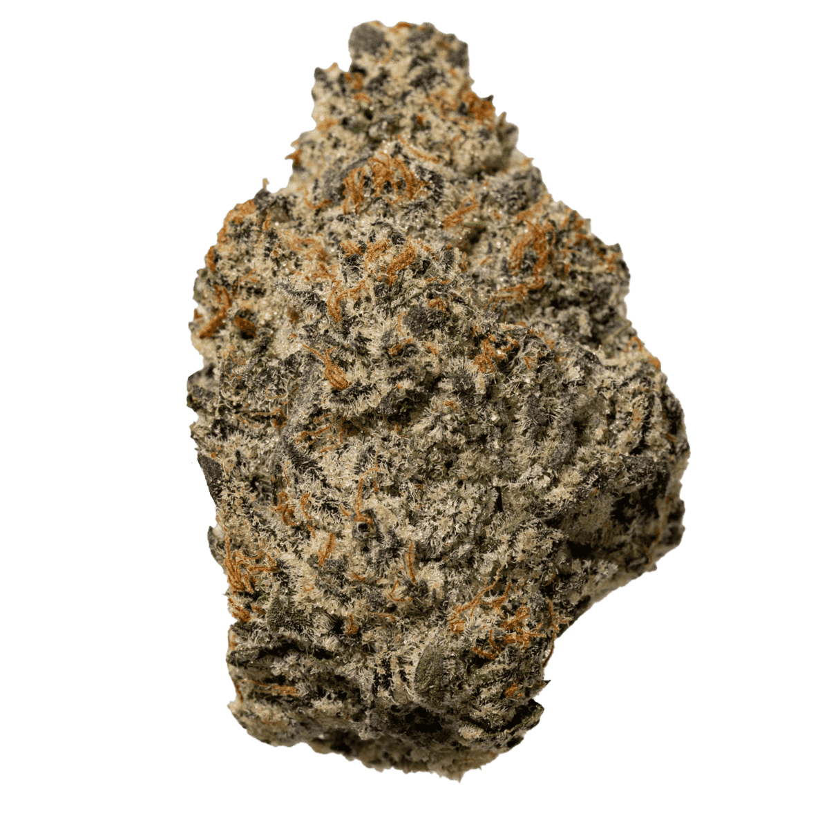 ★PSY/GOA★ V.A / White Rhino 2LP Rhino, White Rhinoceros, Museum Quality Plastic Animal Toy