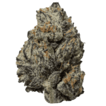 Black Truffle Strain