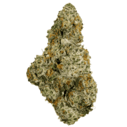 GMO (Garlic Cookies)
