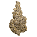 Jelly Roll Strain of weed