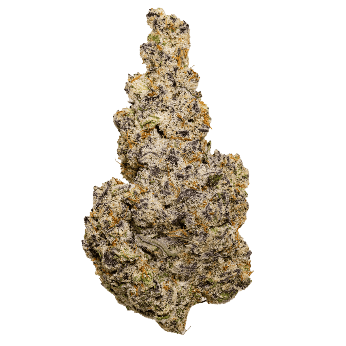 Jelly Roll Strain of weed