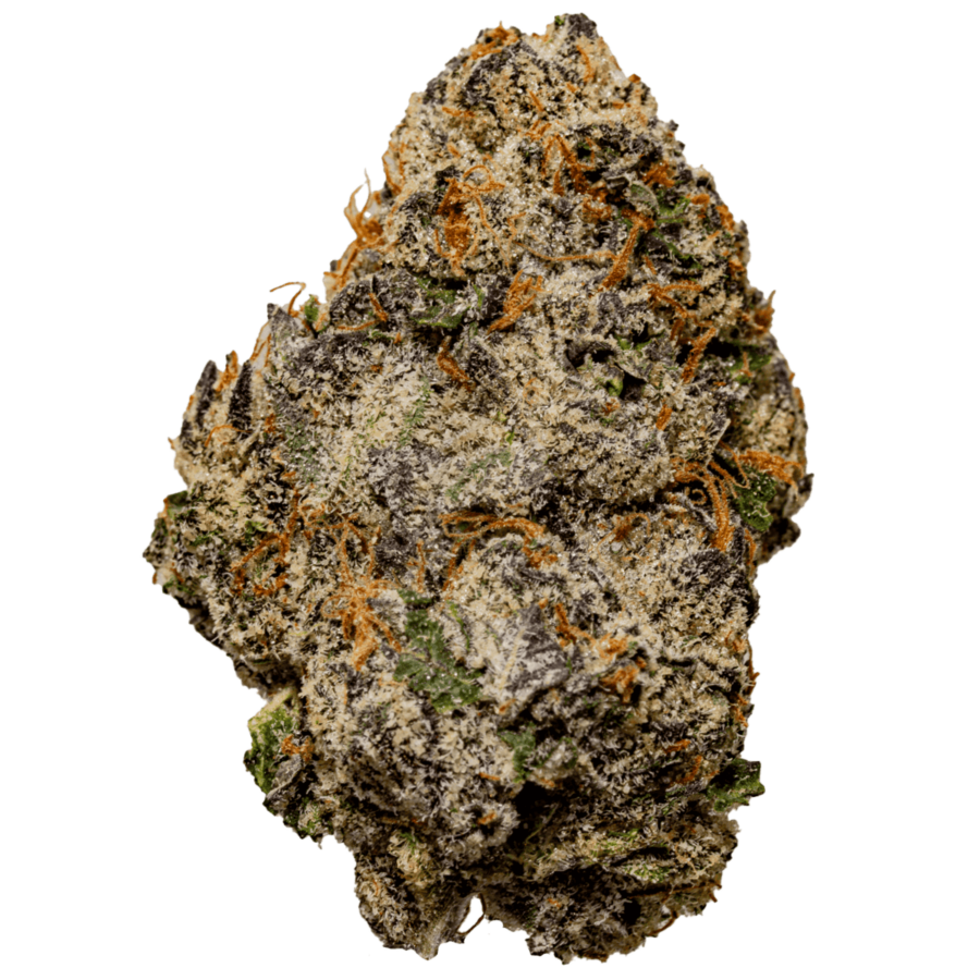 Blue Zlushee Strain Website Photo (FULL) Cherry Biscotti weed strain