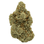 gelato runtz weed strain