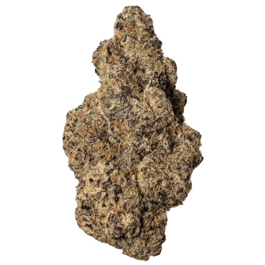 Purple Burger Strain