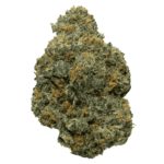 Pink Sherbet Strain