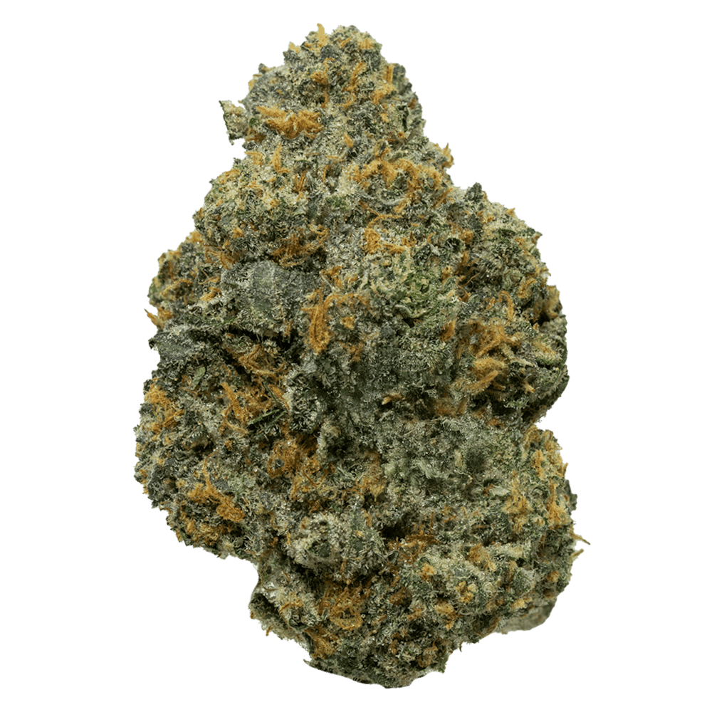Pink Sherbet Strain
