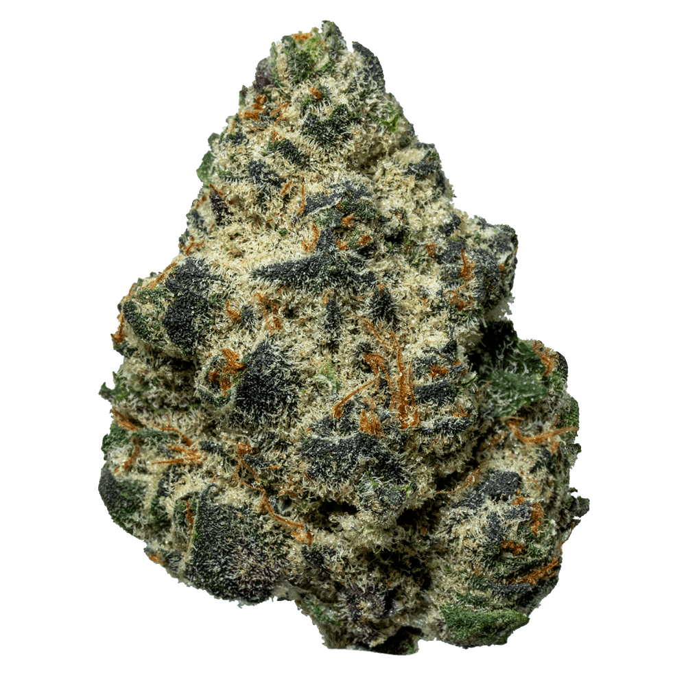 Devil’s Candy Strain
