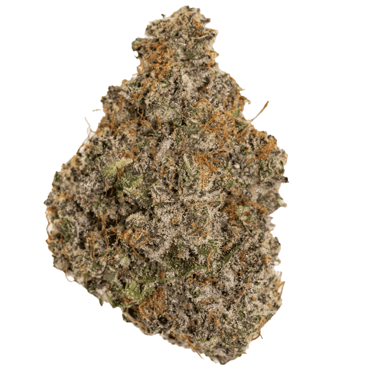 Lumpy Space Princess Strain