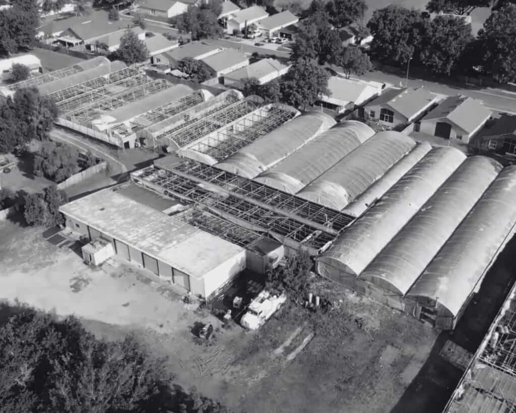 About Chronic Guru 3 - Patrick O'Brien - Cannabis Dispensary