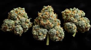 Tips for Safe and Responsible Cannabis Use During Holiday Events