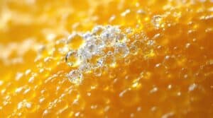 Macro shot of citrus peel highlighting oil glands, visual reference for limonene-rich terpenes.