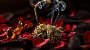 Love and THC - Understanding Cannabis and Romance