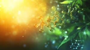 Understanding THC Dosage and Infusion