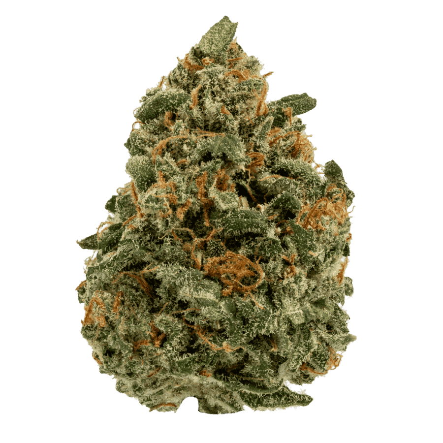 Super SIlver Haze (web) FULL