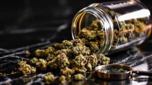 How to Evaluate Strain Quality