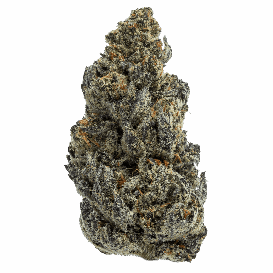 Strawberry Gary 7.22 (web) FULL