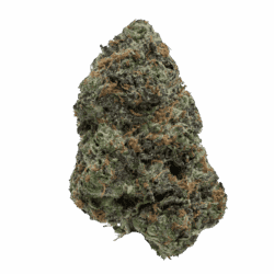 Gushers