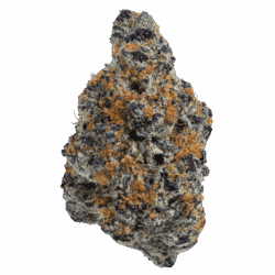 Purple-Haze-FULL-250x250.png