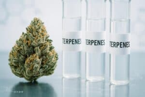 Cannabis flower next to glass vials labeled terpenes in a laboratory setting.