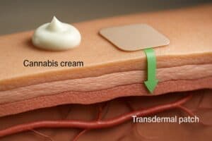 Diagram showing how cannabis topicals interact with skin layers
