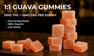chronic guru thc/cbd guava flavored gummies