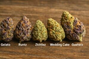 assortment of popular dessert strain cannabis buds on a wooden surface.