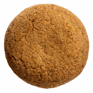 Spice Cookie