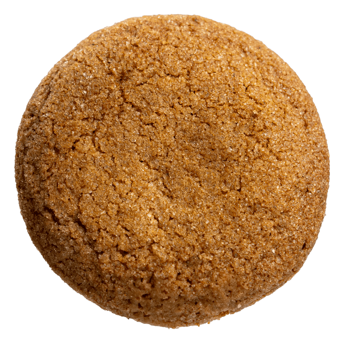 Spice Cookie