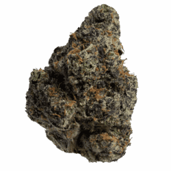 Platinum Grape Punch