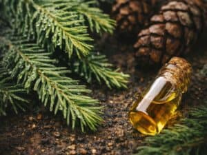Pine Needles