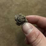 Photo from William Totty review
