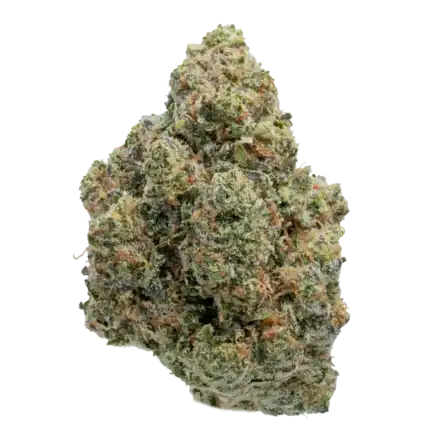 Jack Herer