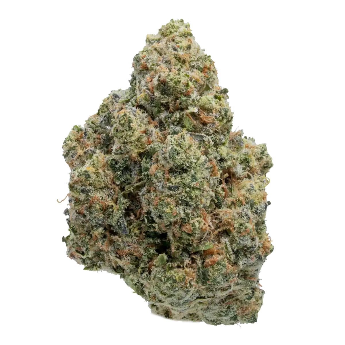 Jack Herer