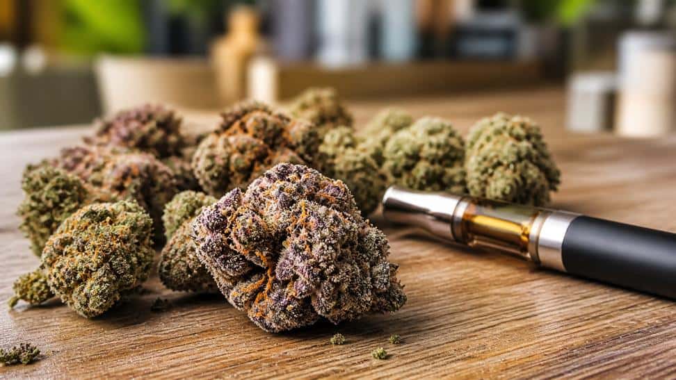 best non leaking vape The 6 Best Vape Carts and Vape Pens in Seattle, Washington (2023) main image 0