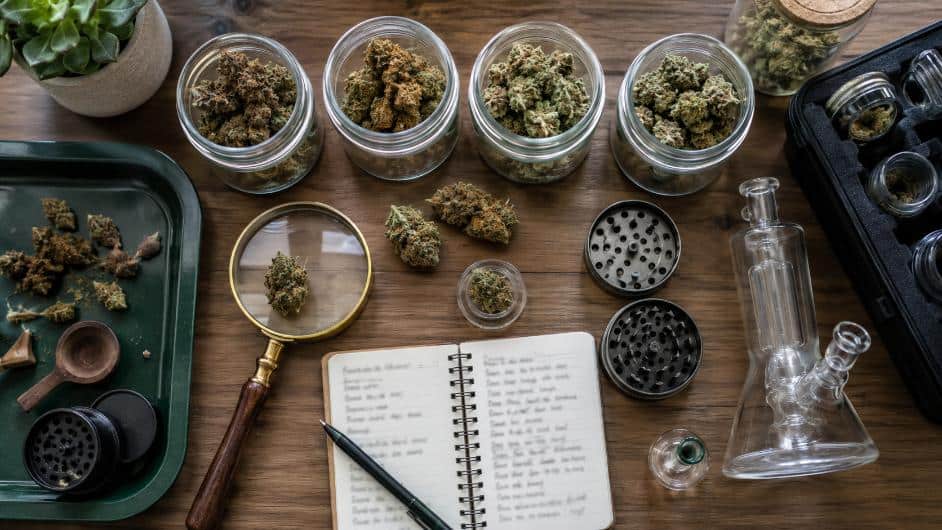 Organized cannabis flower, accessories, and journal showing the learning and collecting side of cannabis culture.